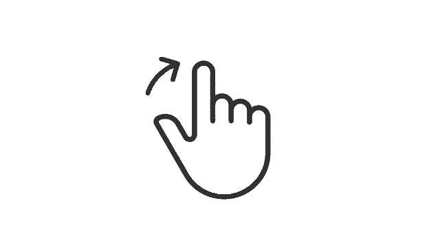 Back Icon